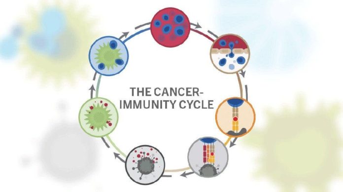 ASCO 2021 : l'immunothérapie atteint les tumeurs moins fréquentes et d'autres tumeurs précoces

