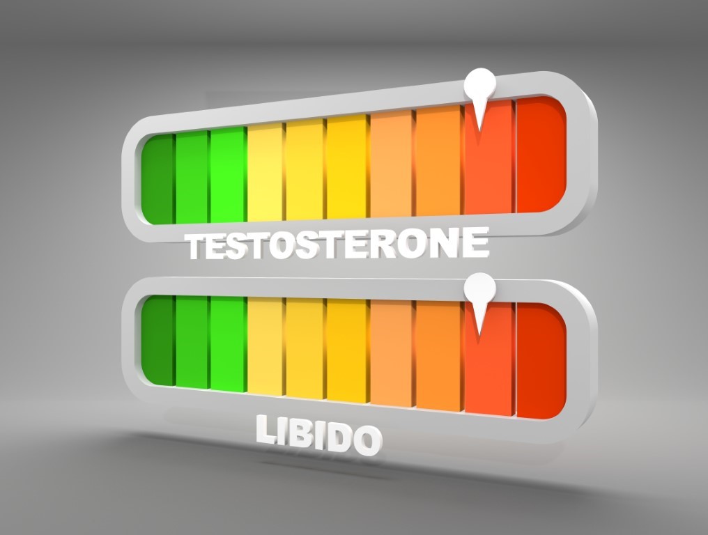 perte de libido traitement hormonaux testostérone