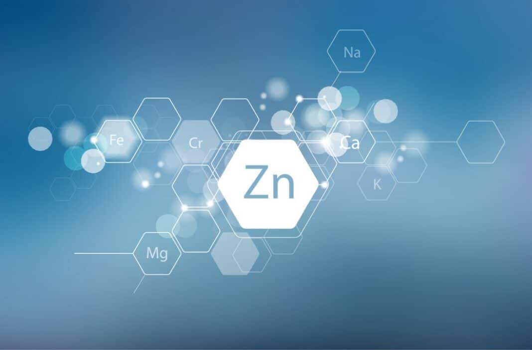 Le zinc, très important dans notre organisme
